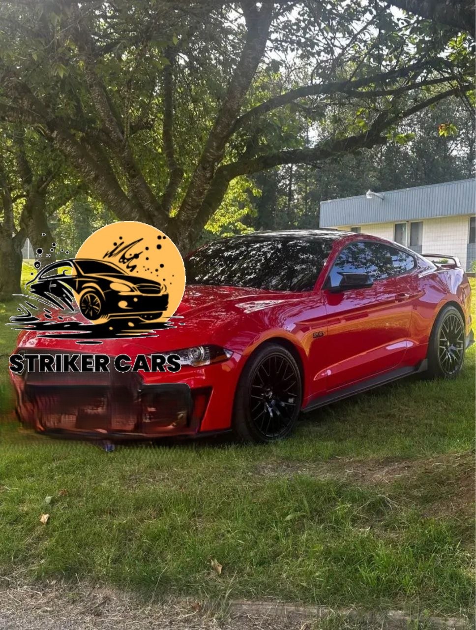 Ford Mustang / Striker car