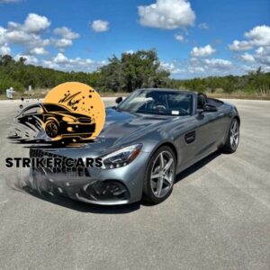 Mercedes-Benz Amg GT 2017/ Striker car