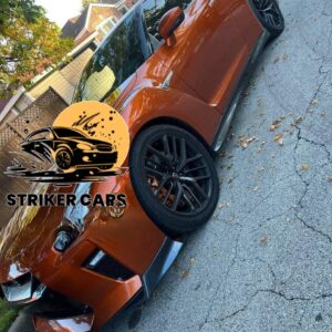 2017 Nissan GTR/ Striker Car