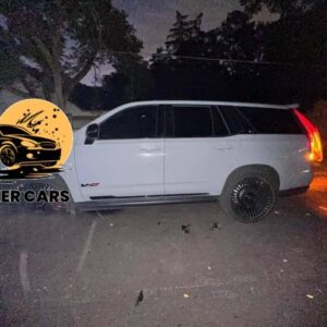 Cadillac V 2020 / Striker Car