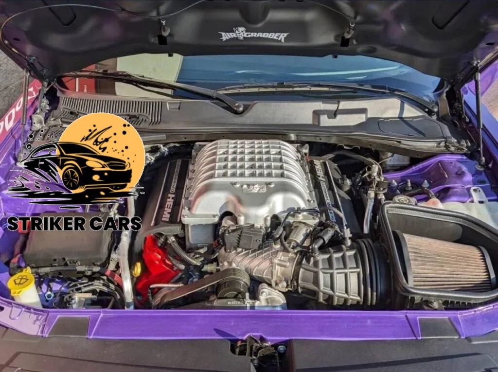 2018 Demon - Image 5
